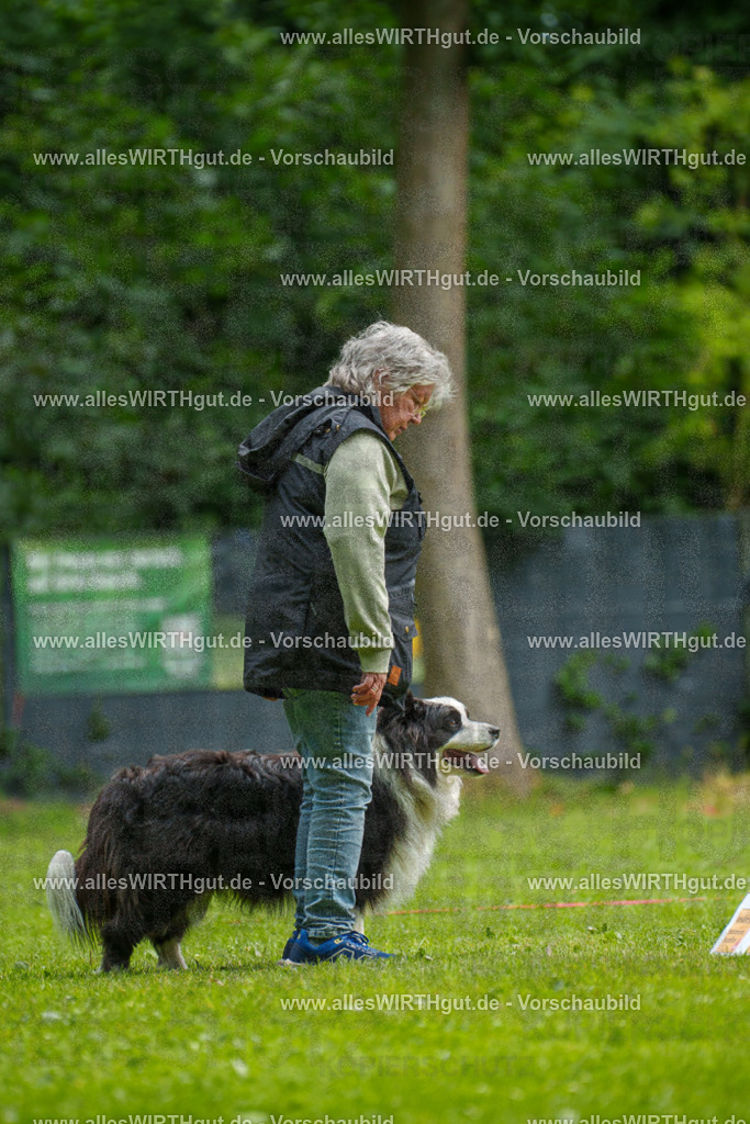 @allesWIRTHgut_Tierfotografie - www.allesWIRTHgut.de - 093803-7R507404 | Professionelle Tierfotografie in Mönchengladbach von Daniel Wirth (allesWIRTHgut). Liebevolle & natürliche Bilder von Hunden & Katzen für unvergessliche Erinnerungen.