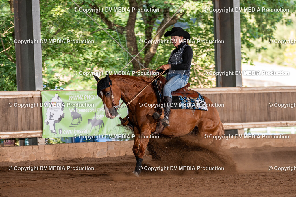 Erbach Tag 2-0995 | dv-media-shop - Realisiert mit Pictrs.com