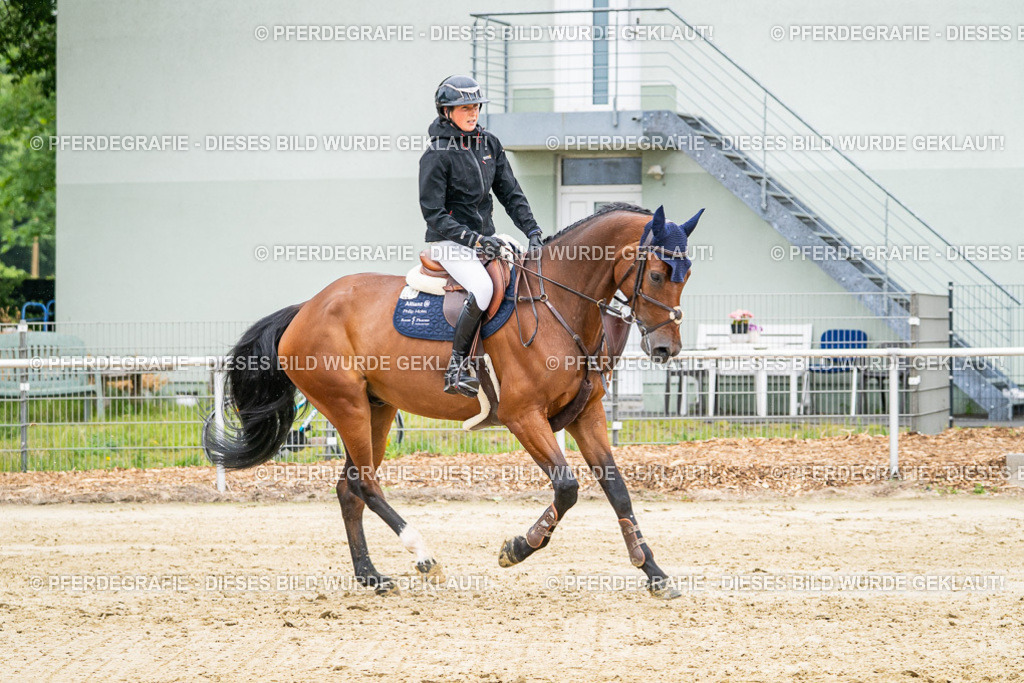 DSC02811 | Pferdegrafie