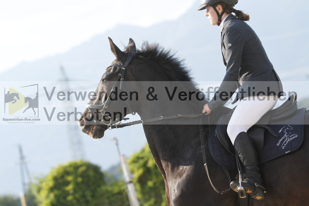 _MG_1366 | equestrian-live-com