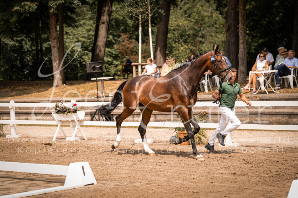 2. Fr00130 | Leoni Ertmer Photography - Realisiert mit Pictrs.com