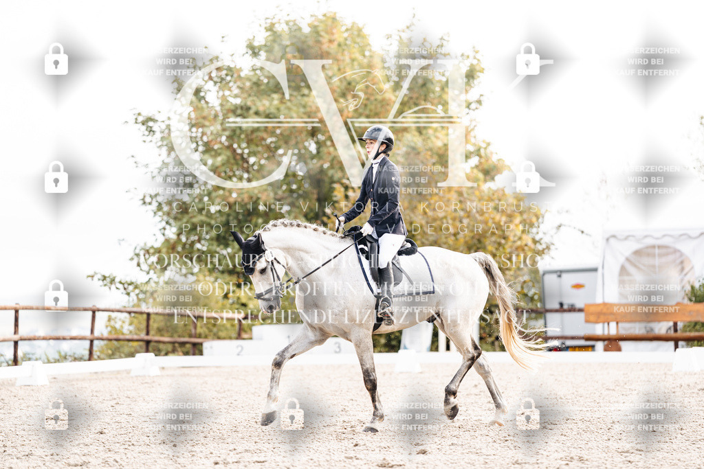 CK900534 | Turnierfotografie Pferdefotografie Trier Rheinland-Pfalz Pferdesport Reitsport Tierfotografie Sportfotografie Pferdevideo Pferdevideografie Equestrianvideography equestrianphotography  - Realisiert mit Pictrs.com