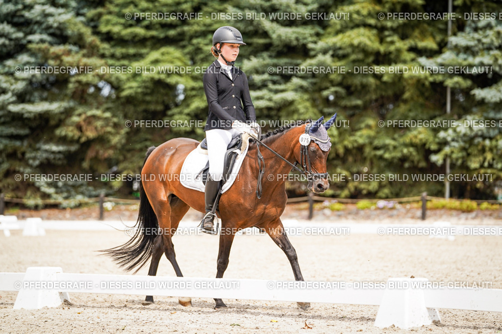 DSC04149 | Pferdegrafie