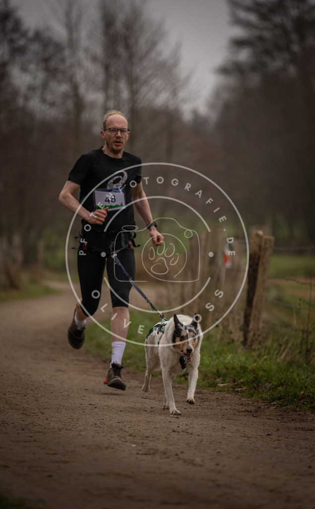 Pfotenfotografie_DV3A2758 | Hundefotografie, Tierfotograf, Pfotenfotografie, Fotoshooting Hund, Hunde Portrait, Hundesport, Hundeportraits, Heideshooting, Hunde, Sportfotograf, Hundefotograf, Turnierhundsport, THS,  - Realisiert mit Pictrs.com