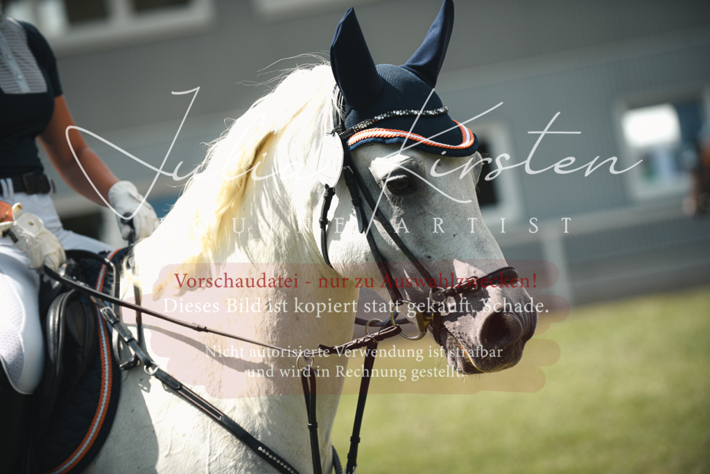 DSC_6758 | Pferde- und Turnierfotografie in Westsachsen. Pferdeportraits, Auftragszeichnungen und intuitive Kunst.