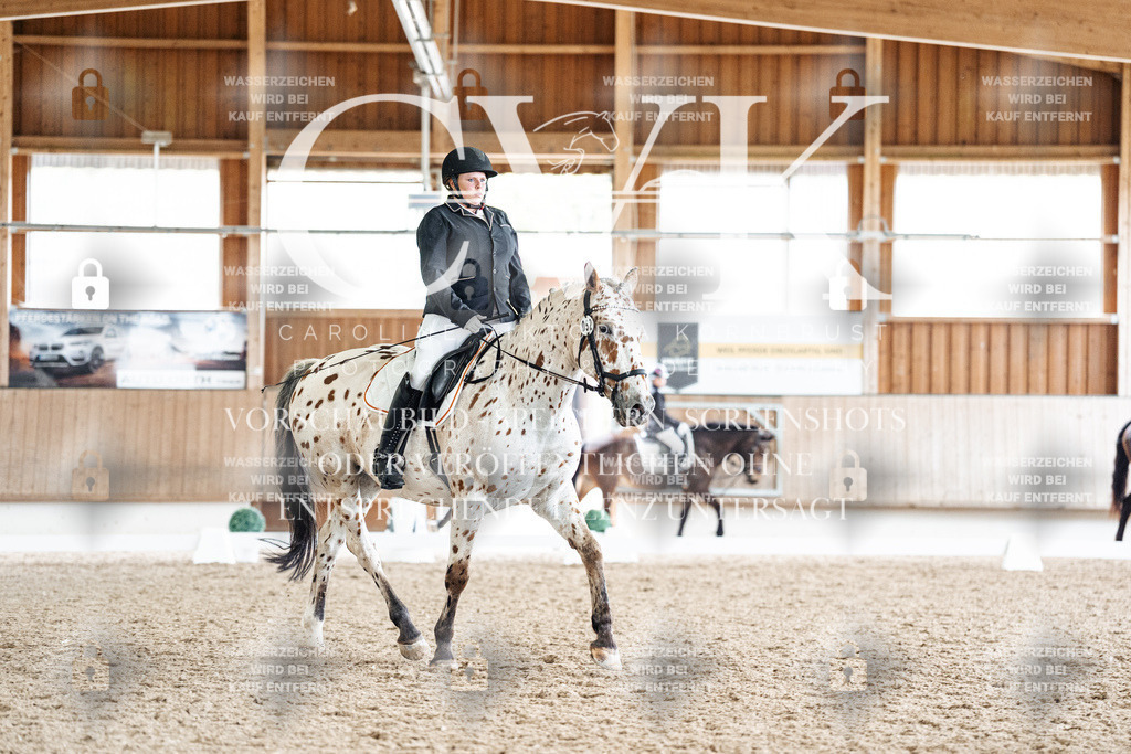 CK901150 | Turnierfotografie Pferdefotografie Trier Rheinland-Pfalz Pferdesport Reitsport Tierfotografie Sportfotografie Pferdevideo Pferdevideografie Equestrianvideography equestrianphotography  - Realized with Pictrs.com