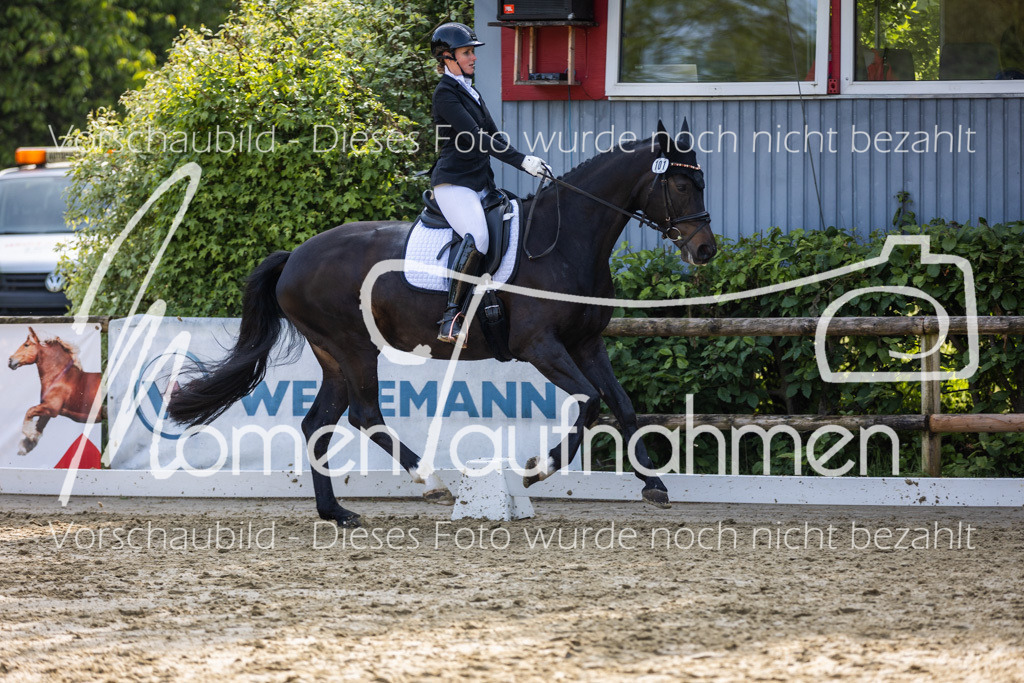 Donop24-A2-Dre-005 | MomenTaufnahmen Pferdesportfotos