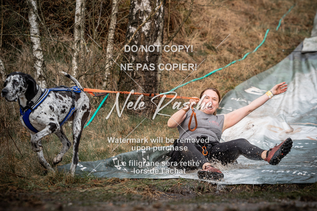 nelerasche_1030-1100_146 | nelerasche