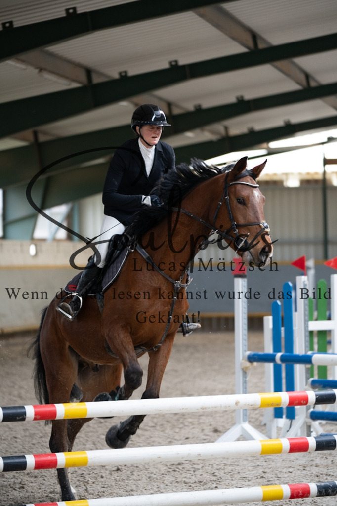 A7V03728 | Pferdefotograf