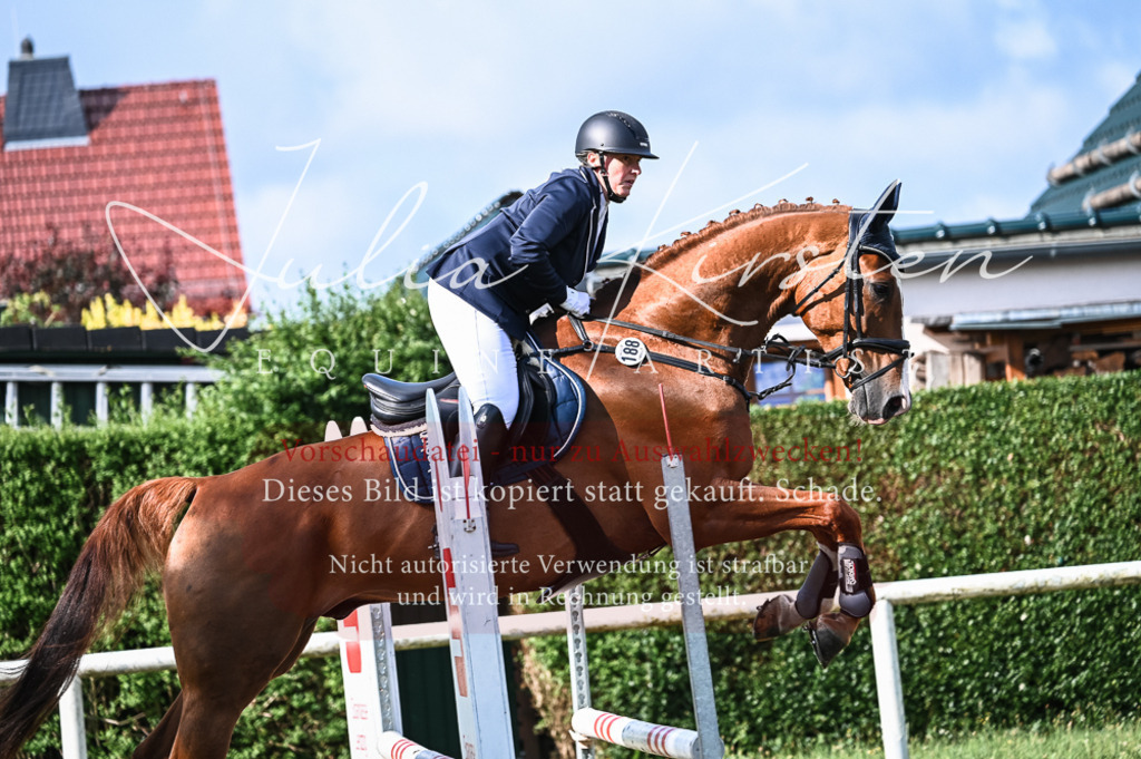 DSC_7763 | Pferde- und Turnierfotografie in Westsachsen. Pferdeportraits, Auftragszeichnungen und intuitive Kunst.