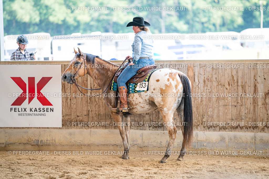 DSC01977 | Pferdegrafie