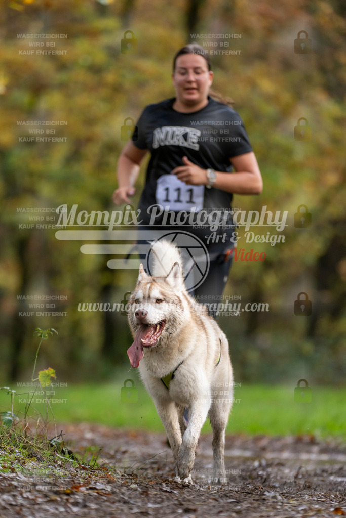 MompixPhotography_Bischwiller23_Canicross-100 | PayLife