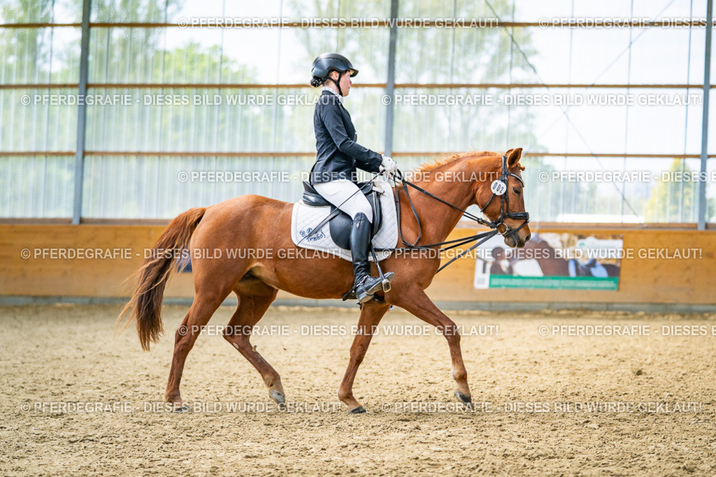 DSC03948 | Pferdegrafie