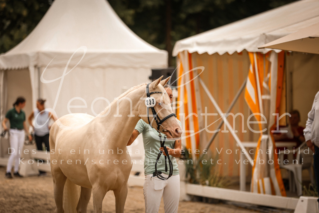 12.So00120 | Leoni Ertmer Photography - Realisiert mit Pictrs.com