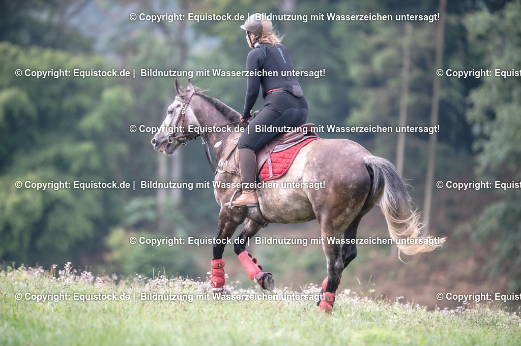 20250726_Vielseitigkeitslehrgang-Marbach_0047 | Foto: Thomas Hartig