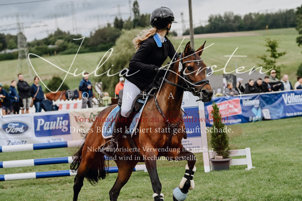 DSC_6763 | Pferde- und Turnierfotografie in Westsachsen. Pferdeportraits, Auftragszeichnungen und intuitive Kunst.