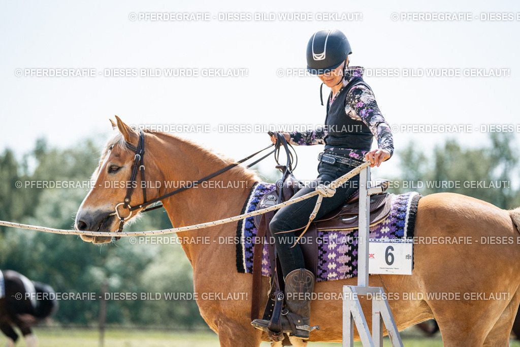 DSC00202 | Pferdegrafie