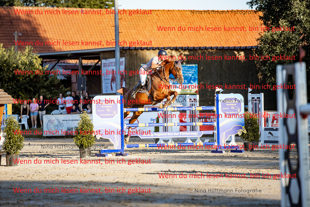 BK1A8561 | Turnierbilder Turnierfotos Nina Hüffmann Turnierfotografie Pferdefotografie Tierzeichnung Haustierzeichnung Pferdezeichnung Hundezeichnung Videograf  - Realisiert mit Pictrs.com
