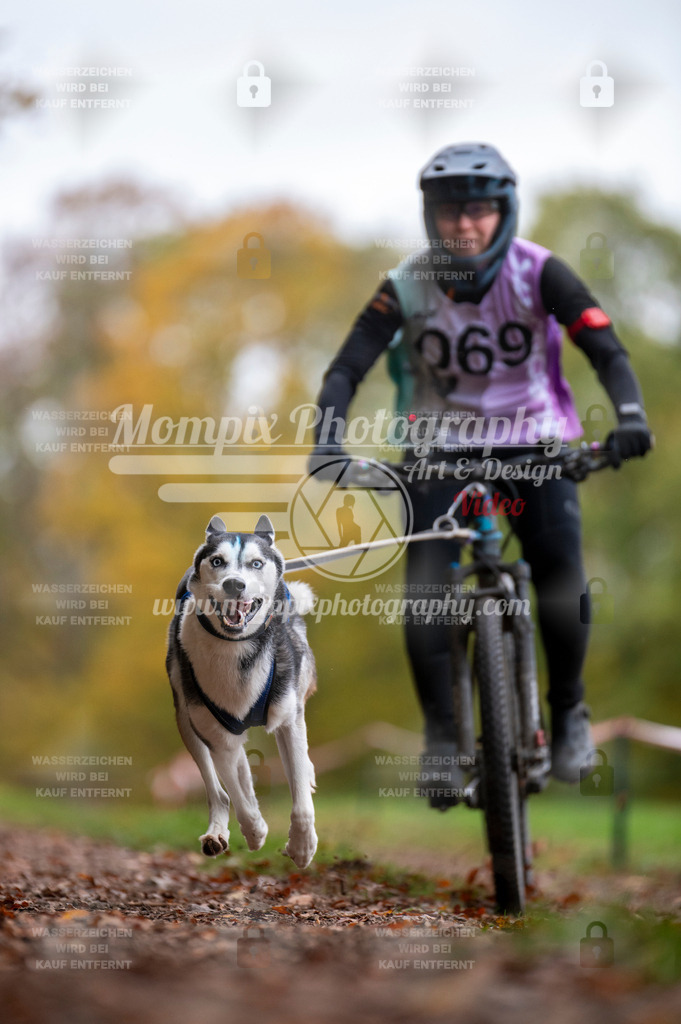 DBT_DAKM_SA_4_11_2023_Bike-100 | PayLife