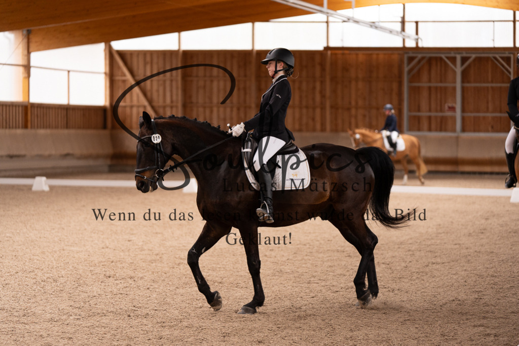 A7506900 | Turnier/Reitfotograf