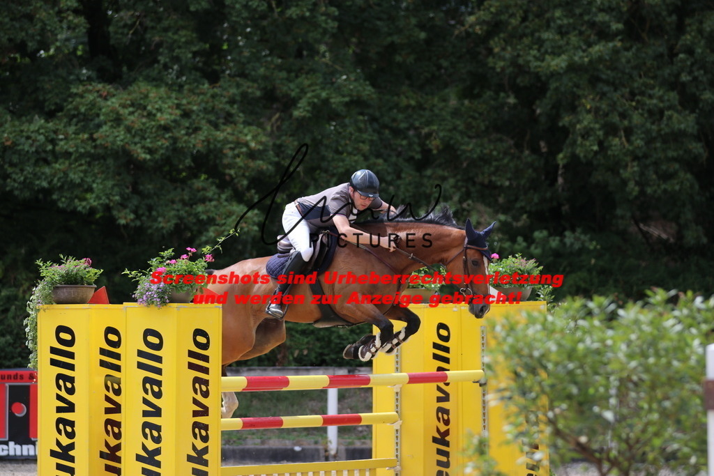 IMG_0355 | lmwpictures - Realisiert mit Pictrs.com