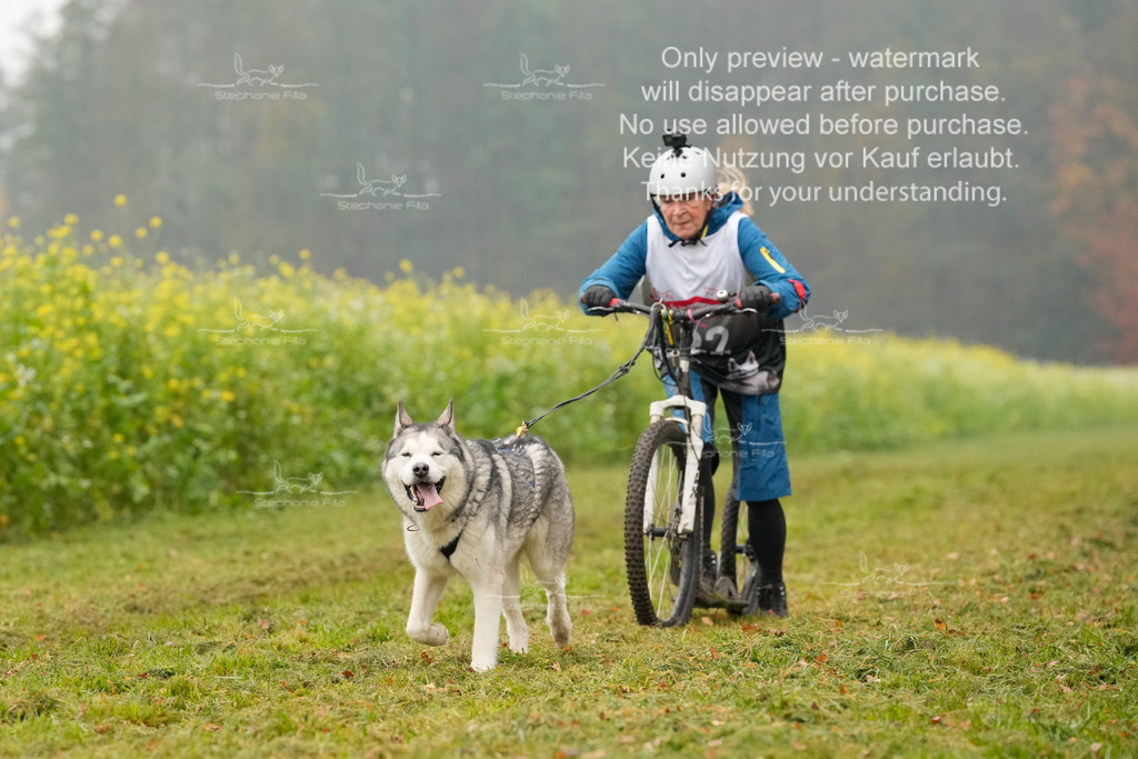 Visbeck_Sa_Scooter_Hc-97 | stephaniefillaphotographie - Realisiert mit Pictrs.com