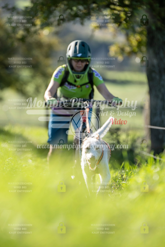 MompixPhotography_20TSB_E3_DS1-67 | PayLife