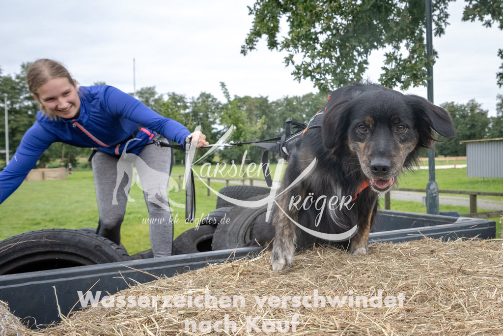 1229_ZZ90936 | kk-dogfotos