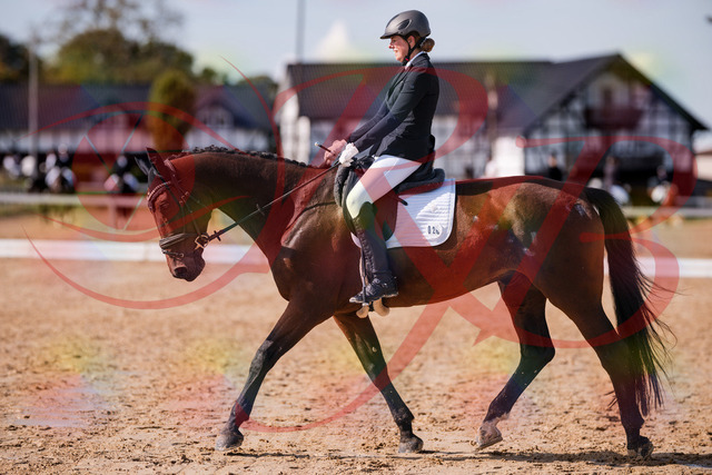 2026_10_03_Siefer-Hof_130212_Z81_55427683 | Professionelle Reitsport-, Turnier- und Eventfotografie von Robert Broda. Galerien mit ausgewählten und bearbeiteten Bildern direkt online ansehen und bestellen.