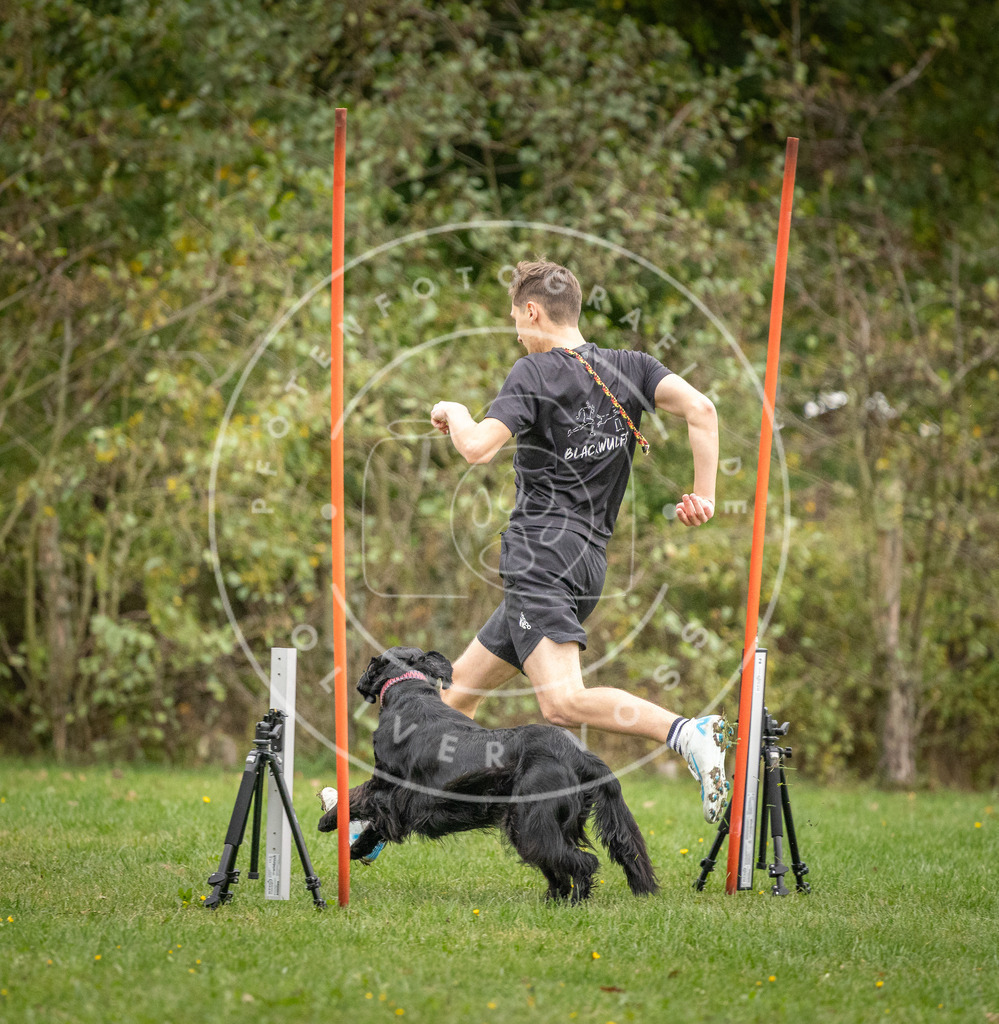 Pfotenfotografie_DV3A0084 | Hundefotografie, Tierfotograf, Pfotenfotografie, Fotoshooting Hund, Hunde Portrait, Hundesport, Hundeportraits, Heideshooting, Hunde, Sportfotograf, Hundefotograf, Turnierhundsport, THS,  - Realisiert mit Pictrs.com