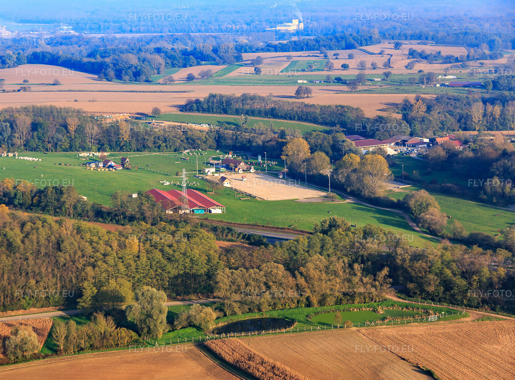 Vue aérienne: Haras De La Née à Mothern dans le département Bas Rhin, France – .Photo: IMG_075742.jpg prise le 01/11/2014 par Werner Riehm/FLY-FOTO.eu – Résolution de l'original: 4847 x 3572 px – Haras de la Nee équitation chevaux concours