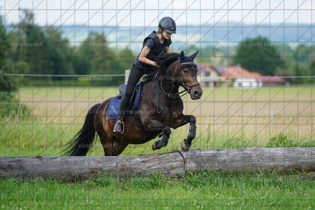 20240622-FAH07933 | Turnierfotografen Bayern, Reitsportbilder aus dem Geländekurs mit Felix Etzel auf dem Gut Waitzacker 2024