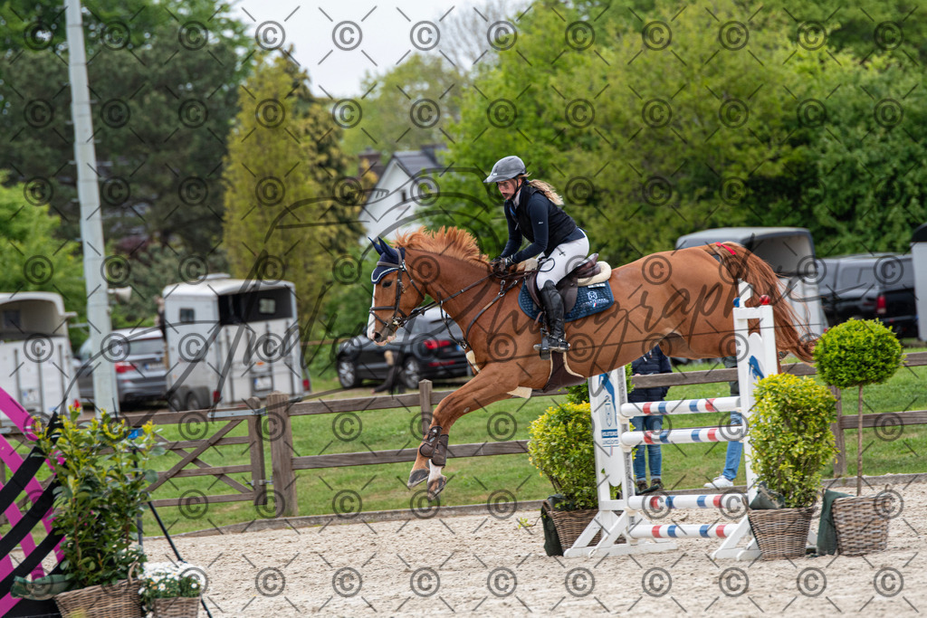 KPT_8495 | andre_photographic