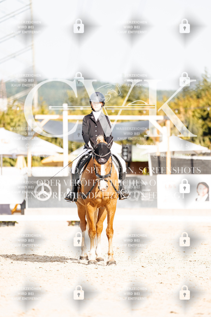 CK905334 | Turnierfotografie Pferdefotografie Trier Rheinland-Pfalz Pferdesport Reitsport Tierfotografie Sportfotografie Pferdevideo Pferdevideografie Equestrianvideography equestrianphotography  - Realisiert mit Pictrs.com