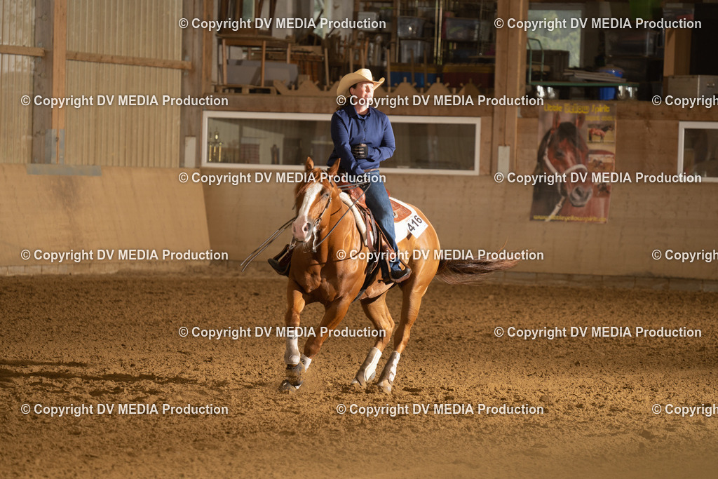 LAU00430 | dv-media-shop - Realisiert mit Pictrs.com