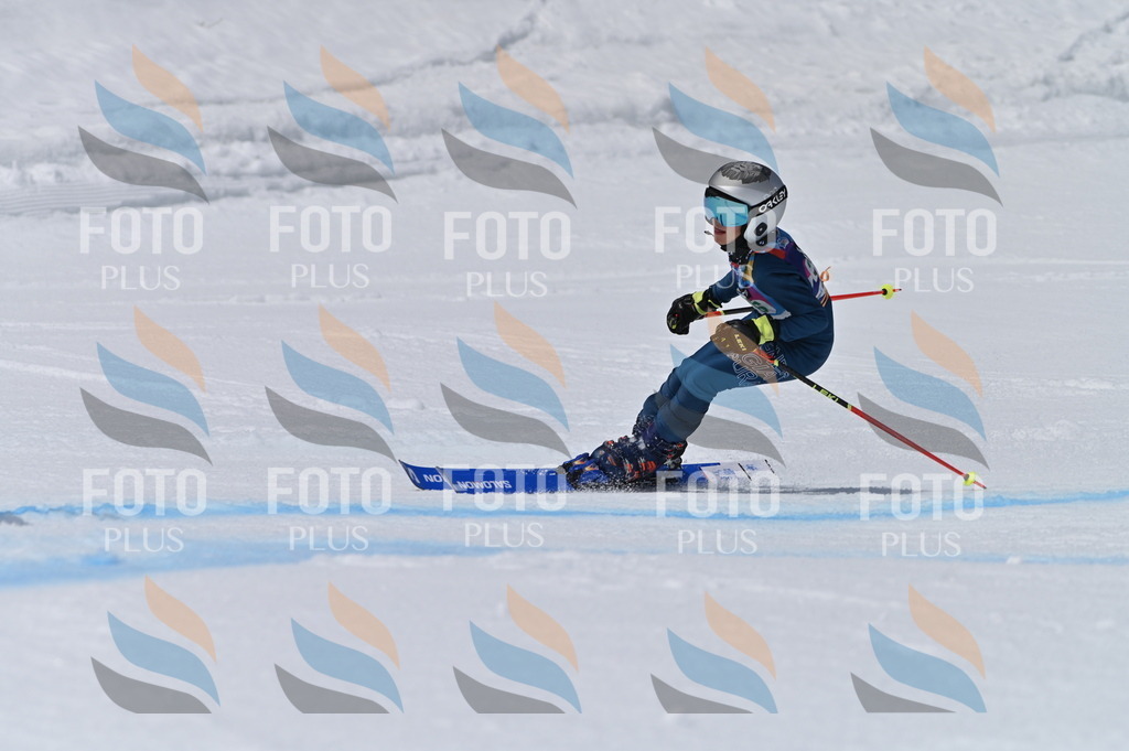 BGV_6245 | holidayphoto