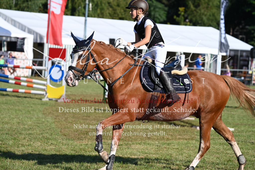 DSC_4960 | Pferde- und Turnierfotografie in Westsachsen. Pferdeportraits, Auftragszeichnungen und intuitive Kunst.