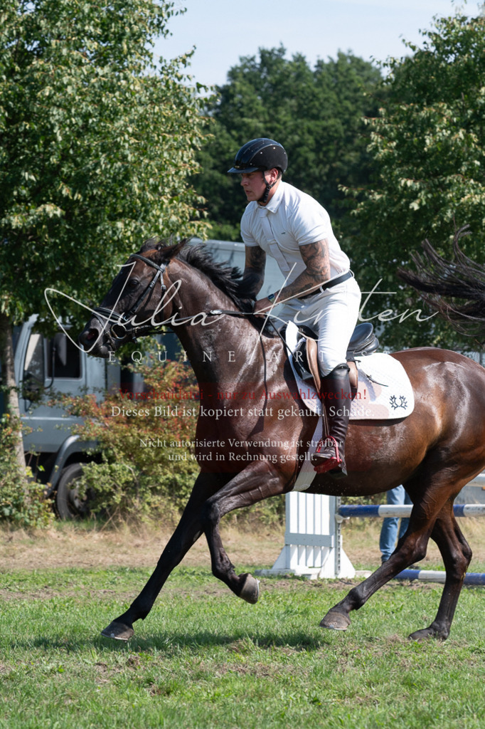DSC_0805 | Pferde- und Turnierfotografie in Westsachsen. Pferdeportraits, Auftragszeichnungen und intuitive Kunst.