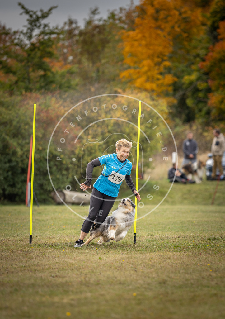 Pfotenfotografie_DV3A5771 | Hundefotografie, Tierfotograf, Pfotenfotografie, Fotoshooting Hund, Hunde Portrait, Hundesport, Hundeportraits, Heideshooting, Hunde, Sportfotograf, Hundefotograf, Turnierhundsport, THS,  - Realisiert mit Pictrs.com