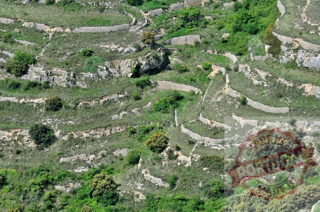 Terraced fields preserving ancient agricultural methods on hillside | Terraced fields creating an agricultural landscape with stone retaining walls - Realized with Pictrs.com