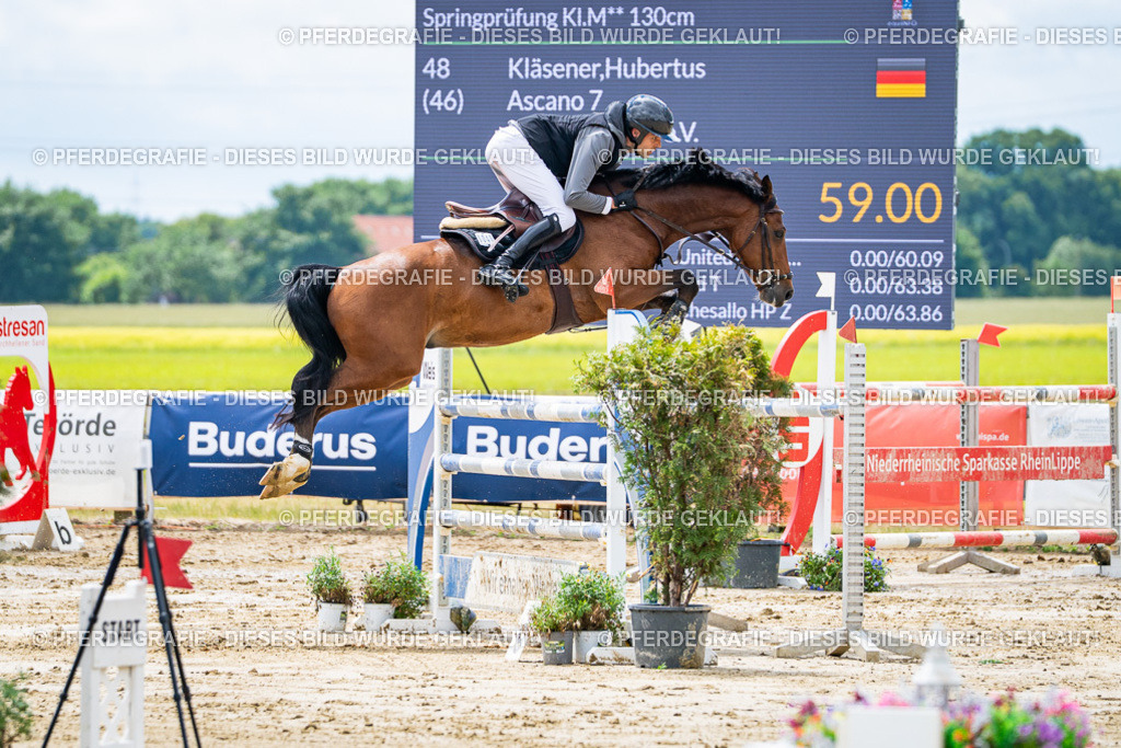 DSC04832 | Pferdegrafie