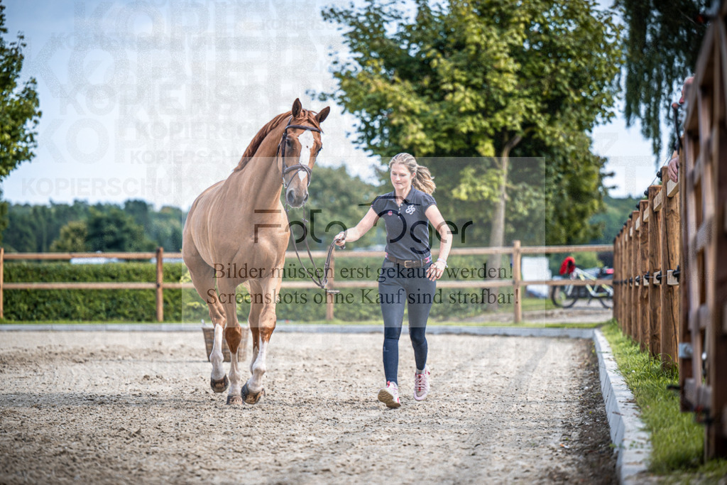 DOS_2070 | Entdecke hochwertige Reitturnierfotos von Foto Oger. Professionell, emotional und authentisch – jetzt Lieblingsmomente im Shop bestellen.Deutschlandweite Turnierfotografie. - Realisiert mit Pictrs.com