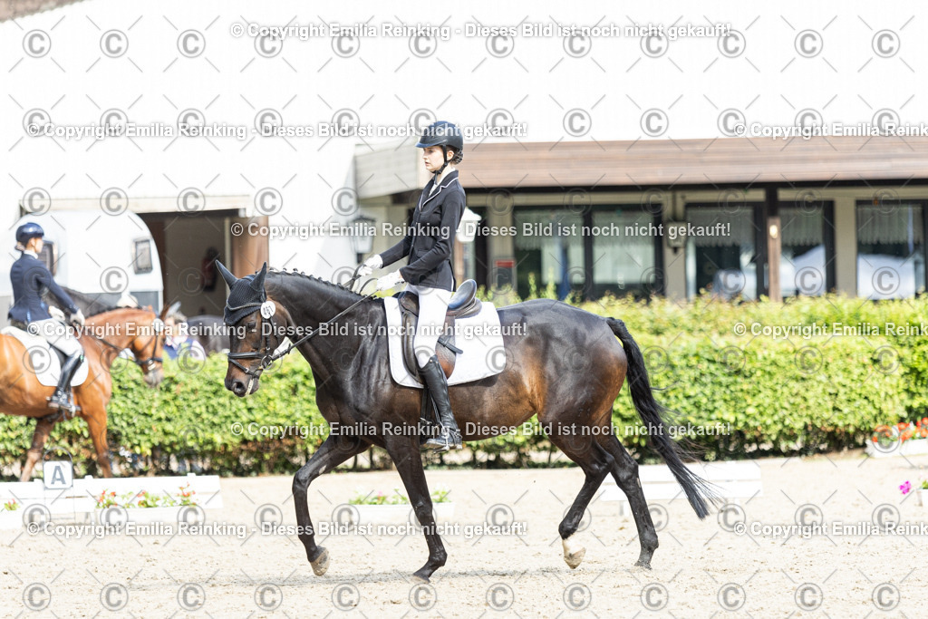 CL5A6175-2 | Emilia Reinking Fotografie - Realisiert mit Pictrs.com