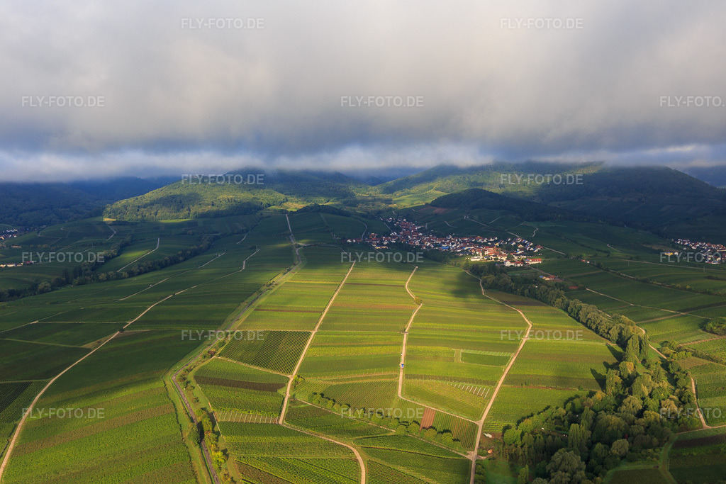 Luftbild: Ranschbachtal aus Osten im Ortsteil Arzheim in Landau im Bundesland Rheinland-Pfalz in Deutschland. Foto: IMG_103331.jpg vom 10.09.2017 durch Werner Riehm/FLY-FOTO.de