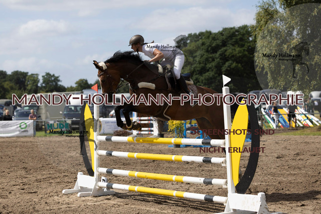 16.8.25 SPR L (788 von 1074) | mandyhollmannphotographie
