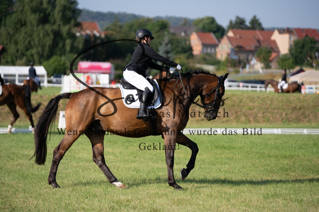 A7V09283 | Pferdefotograf