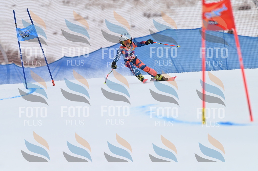 BGV_2517 | holidayphoto