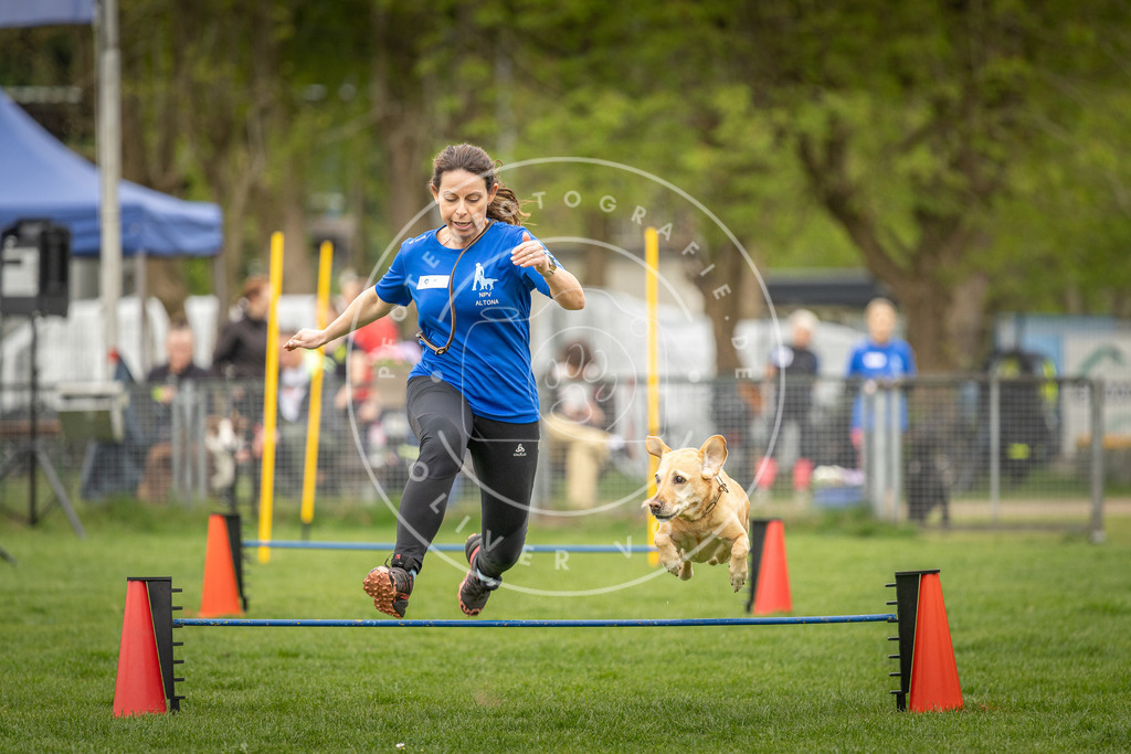 Pfotenfotografie_DV3A0767 | Hundefotografie, Tierfotograf, Pfotenfotografie, Fotoshooting Hund, Hunde Portrait, Hundesport, Hundeportraits, Heideshooting, Hunde, Sportfotograf, Hundefotograf, Turnierhundsport, THS,  - Realisiert mit Pictrs.com