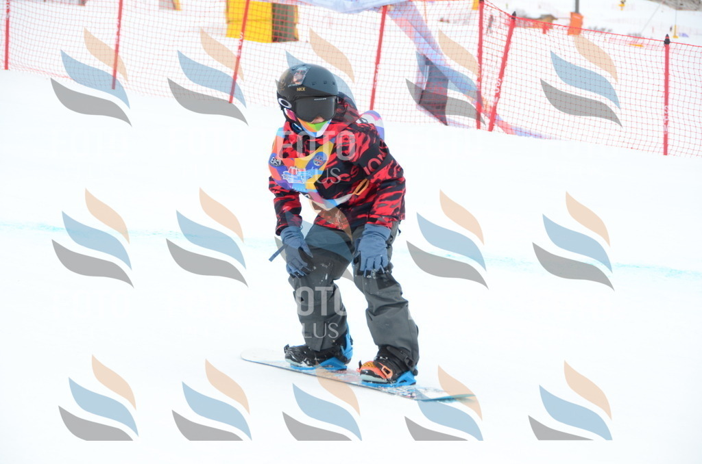 DSC_2483 | holidayphoto