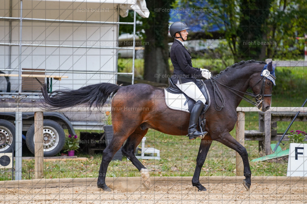 20231007-SN_00931 | Professionelle Turnier- und Reitsportfotografie - mit dem Finger am Auslöser. Pferdebilder aus dem Reitsport von den Turnierfotografen  Bayern , Pferdefotograf Bayern, Pferdeshooting Turnierbilder, Hochzeitsfotograf, Eventfotograf, Hochzeitsbilder